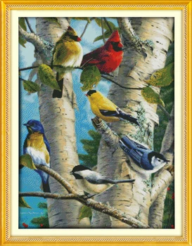 Брезови птица на дървото, определени за кръстат бод платно от любимец модел DMC цвят 18ct 14ct 11ct комплект за бродиране САМ бродирани ръчно изработени